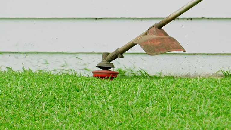 Best Lawn Pest Prevention  in Mccord, OK