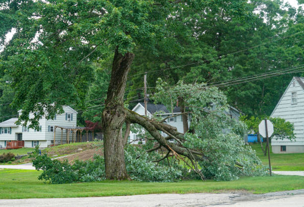 Lawn Drainage Solutions in Mccord, OK